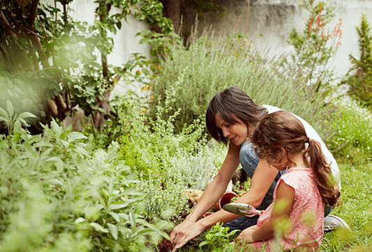 Practical Tips for Everyday Green Habits