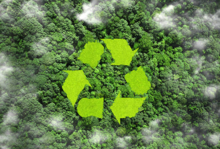 Growing Greener: The Ultimate Guide to Sustainable Living