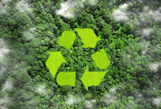 Growing Greener: The Ultimate Guide to Sustainable Living