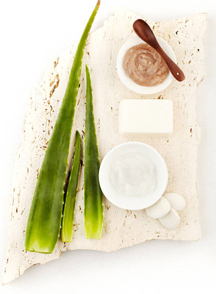 The Truth About Sun-Damaged Skin and How to Nourish It Naturally