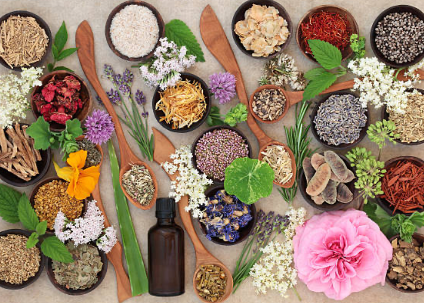 The Herbal Touch: Why Artisan Skincare Begins with Plants
